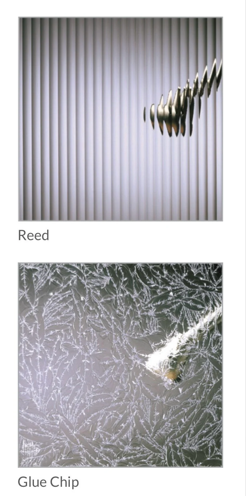 Reed Installations Bespoke Glass, Mirror, and Shower Door Solutions 